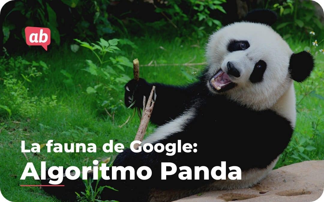 Algoritmo Google Panda ¿Qué es y en como afecta mi posicionamiento SEO?