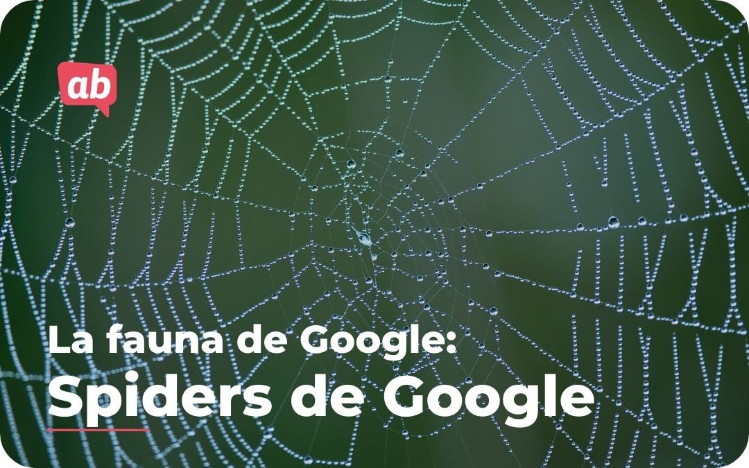 Como afectan a mi posicionamiento web las Spiders de Google